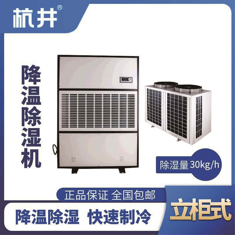 CFJZF30S風冷調溫除濕空調機組