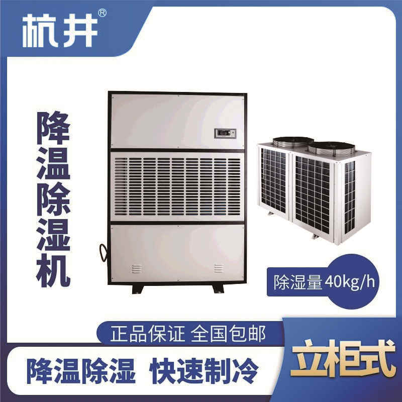 CFJZF40S風冷調溫除濕空調機組