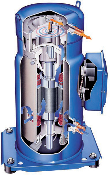 1555919121202874.png 986492e4-2dfd-4152-b75a-ca7495b20ae1.png